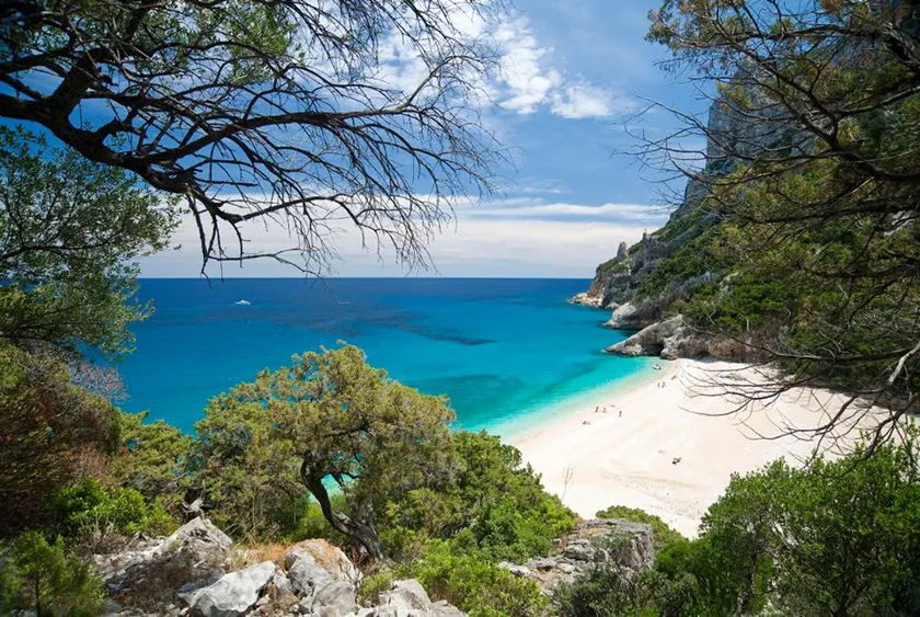 A little slice of paradise - Image 1