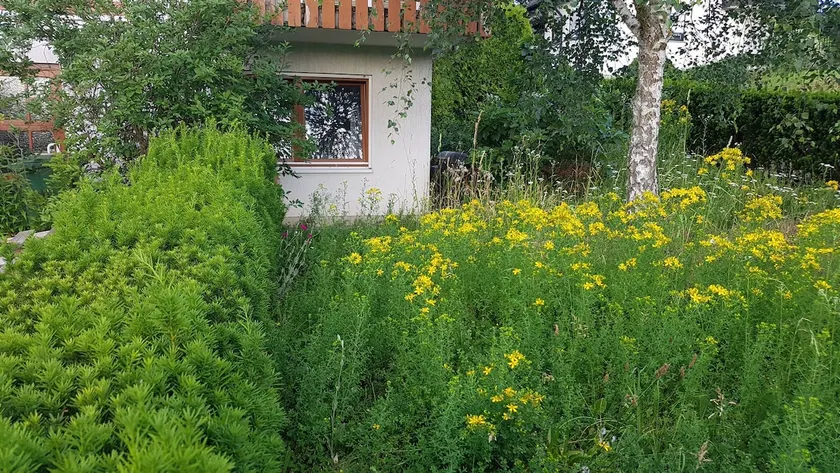 Self-contained apartment in the countryside - Image 1