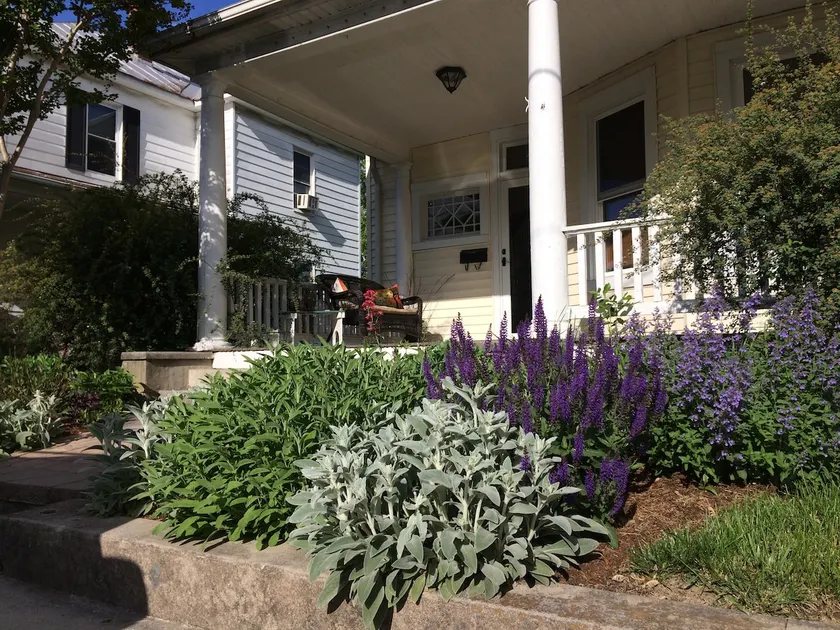 Your Home Away from Home in Downtown Harrisonburg - Image 1