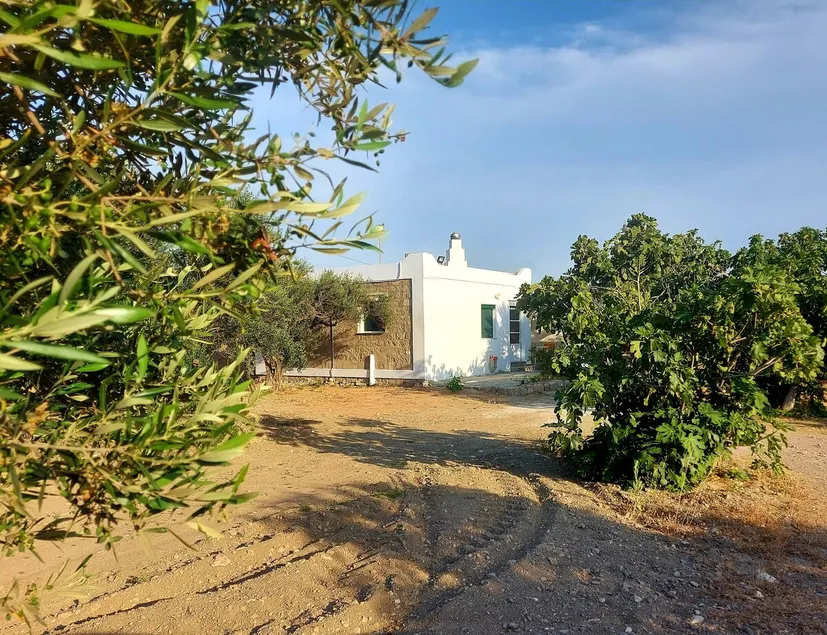 Frank's farmer house in Kampos - Image 1