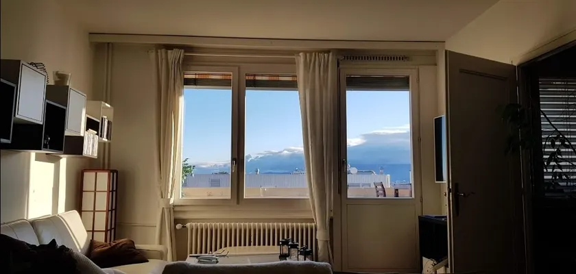 Cozy apartment in Petit-lancy (Geneva) - Image 1