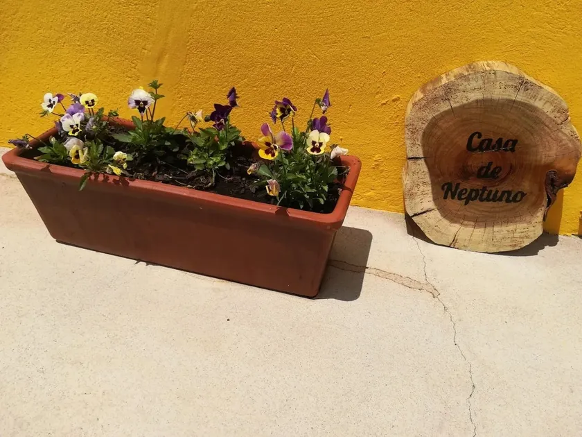 Casa Neptuno - Image 1