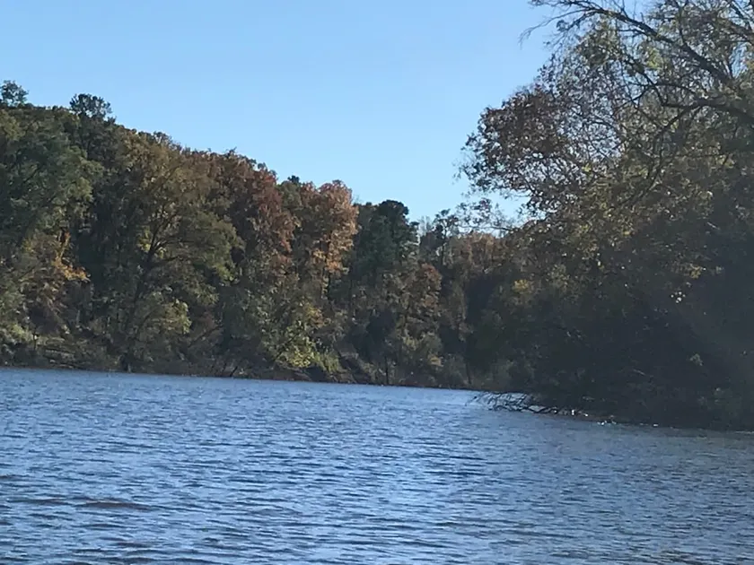 Gorgeous Cottage by Cape Fear River - Image 1