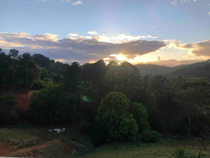 Currumbin Valley View Cottage - Image 1