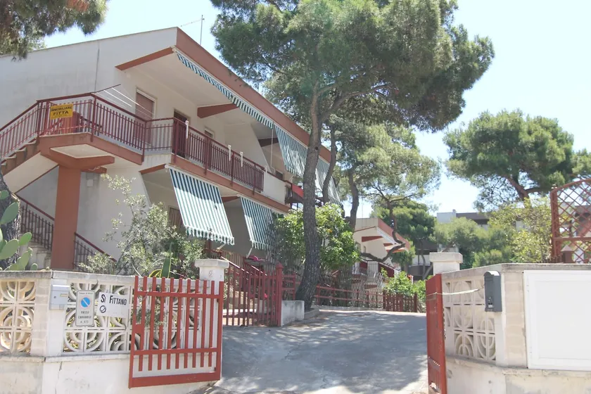 Sea cottage in pinewood - Image 1