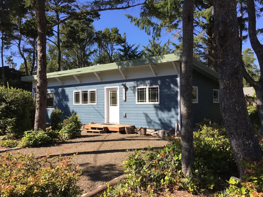 Blue Dolphin - Image 1