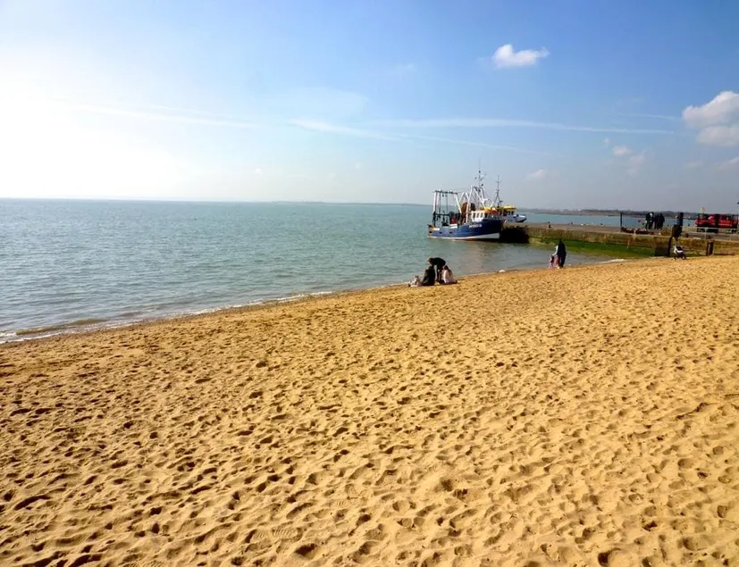 Seaside private garden - Image 1