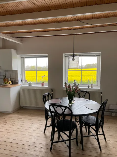 Guest house in rural surroundings close to Silkeborg - Image 1