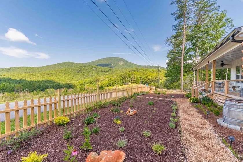 Wildberries at the Winery (With Yonah Mtn views) - Image 1