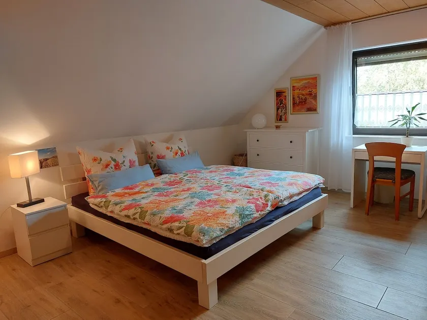 Large, bright apartment with sunny balcony - Image 1