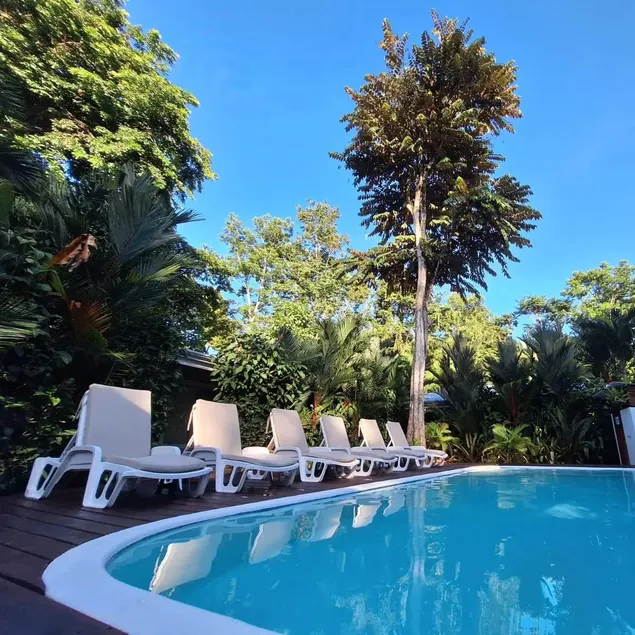 Alloro Jungle Villas - Image 1