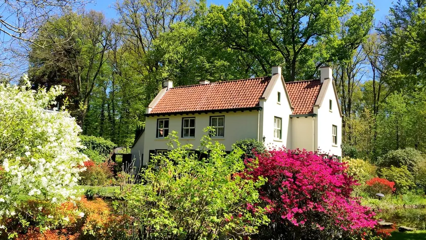 Villa Forestier in Breda, top forest location - Image 1
