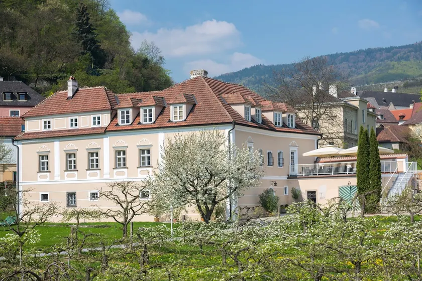 Modern, Central Apartment with Vineyard Views - Image 1