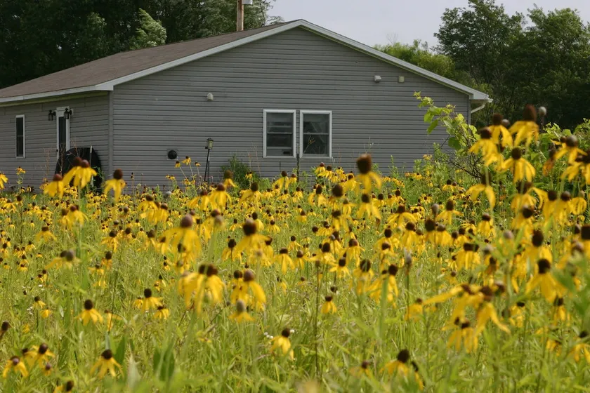 Peace on the Prairie - Studio Apartment - Image 1