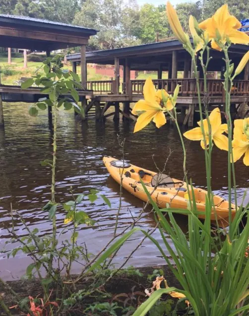 111 Reasons Why **Toledo Bend** Near Cypress Bend - Image 1