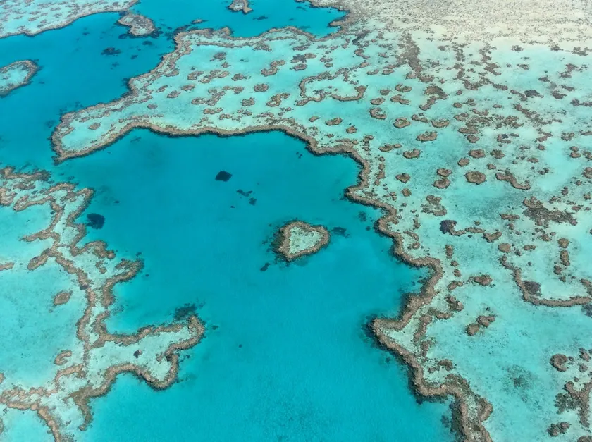 Tropical Paradise - Image 1