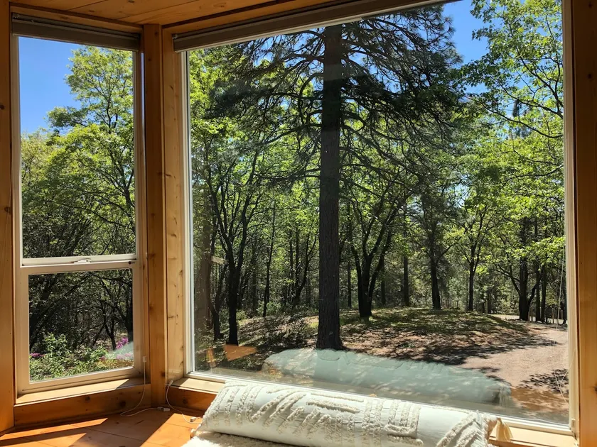 Peaceful 90-Acre Forest Retreat w/ Trails & Gym - Image 1
