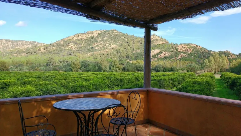 Charming apartment in the heart of a citrus farm. - Image 1