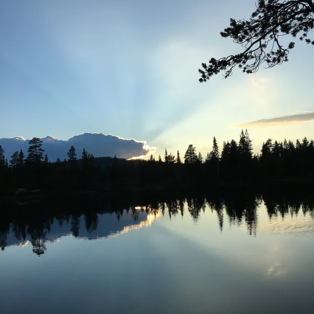 Cottage by Fulufjället National Park. - Image 1