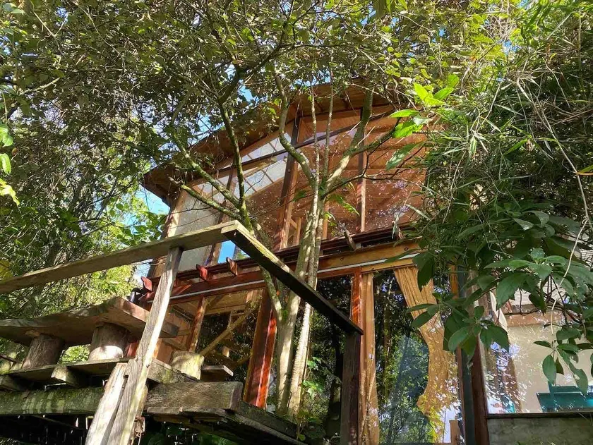 A birdhouse in the Passiflora mountains - Image 1