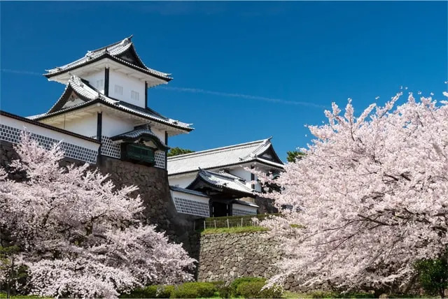 Serene Garden House, Walk to Castle - Image 1