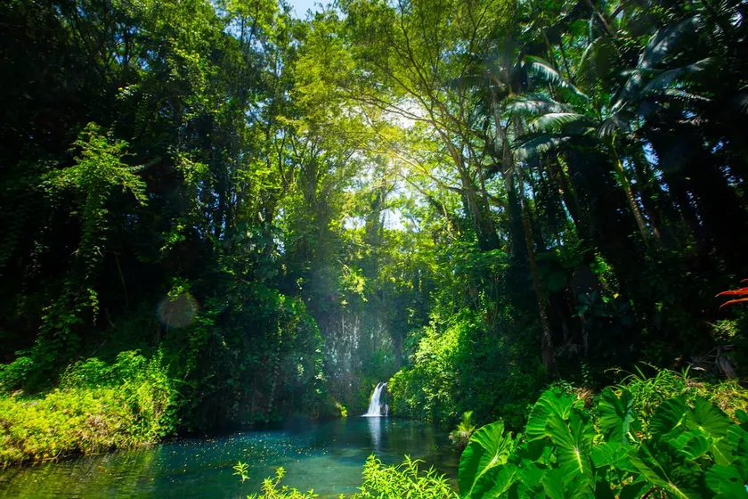 Aloha Falls Hilo ~ peaceful - Image 1