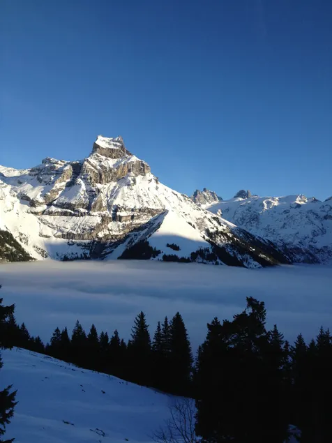 Relaxation with a view - Image 1