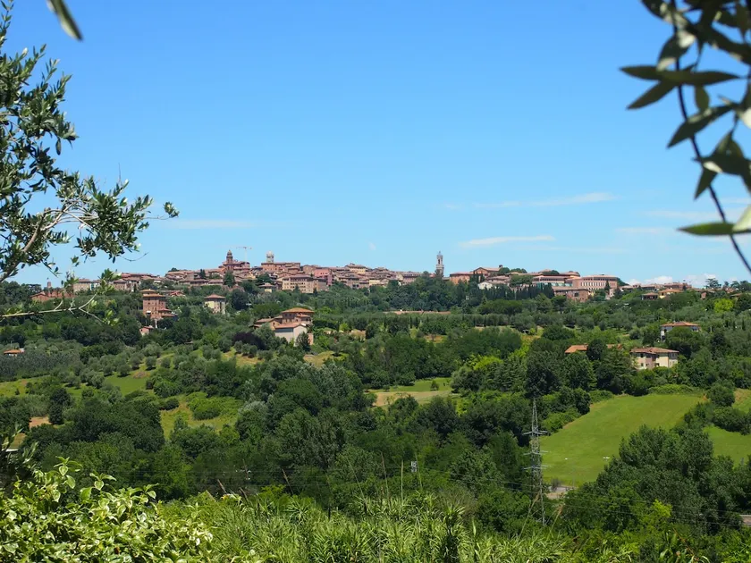 In The Old Tower in front of Siena - Image 1
