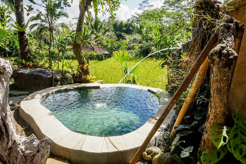 astonishing 1 BR house | private pool | ricefield - Image 1