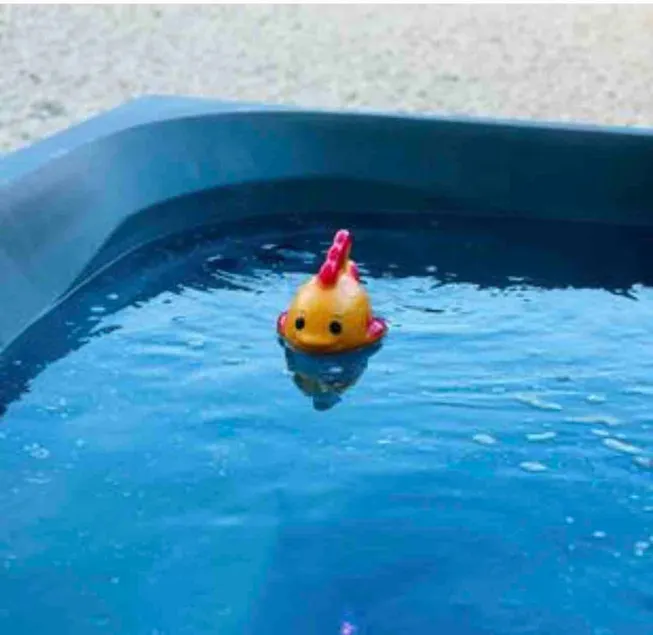 •SelfieHouse•Hot Tub•Arcade! - Image 1