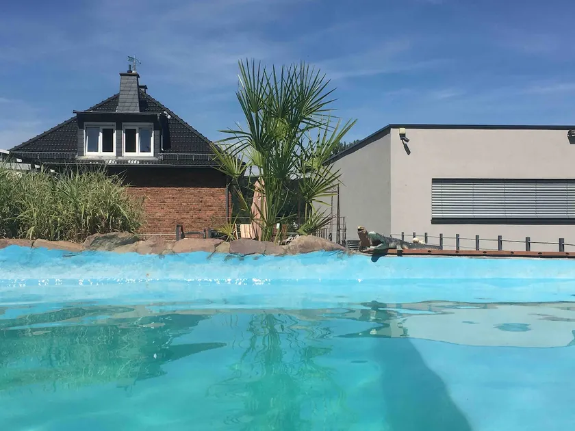 Feel-good oasis with pool, sauna, gym - Image 1