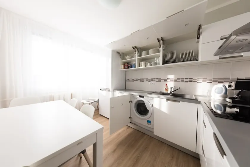 Large apartment Jablon, 3 bedrooms PVA EXPO Prague - Image 1