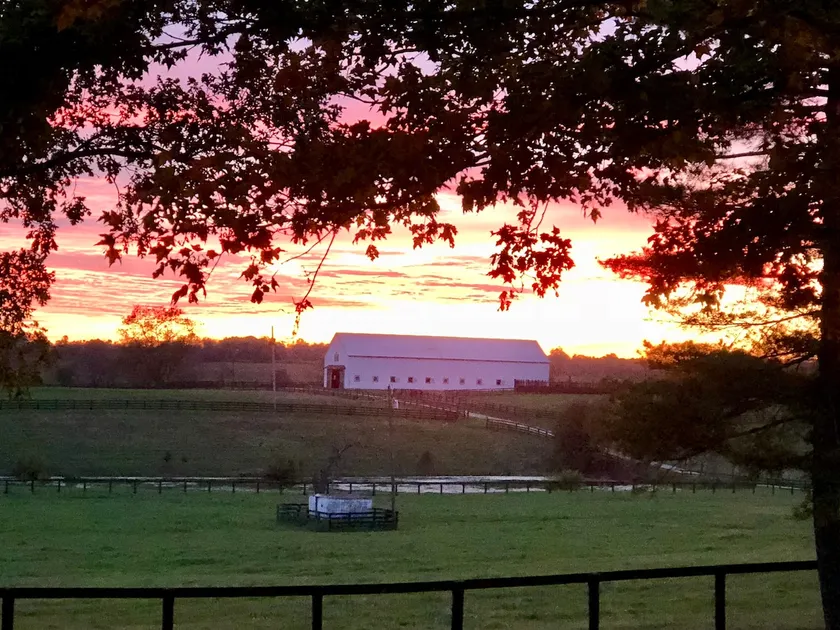 Bluegrass Cottage;Pet Friendly.Horse Farm & Racing - Image 1