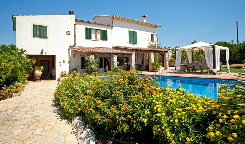 Beautiful house surrounded by orange trees - Image 1