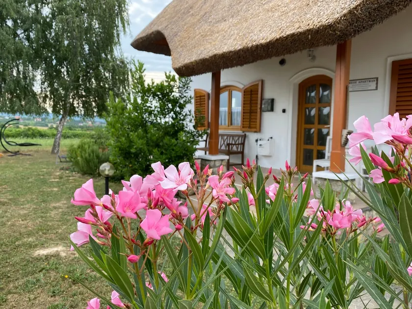 Emese apartment - View and pool - Image 1
