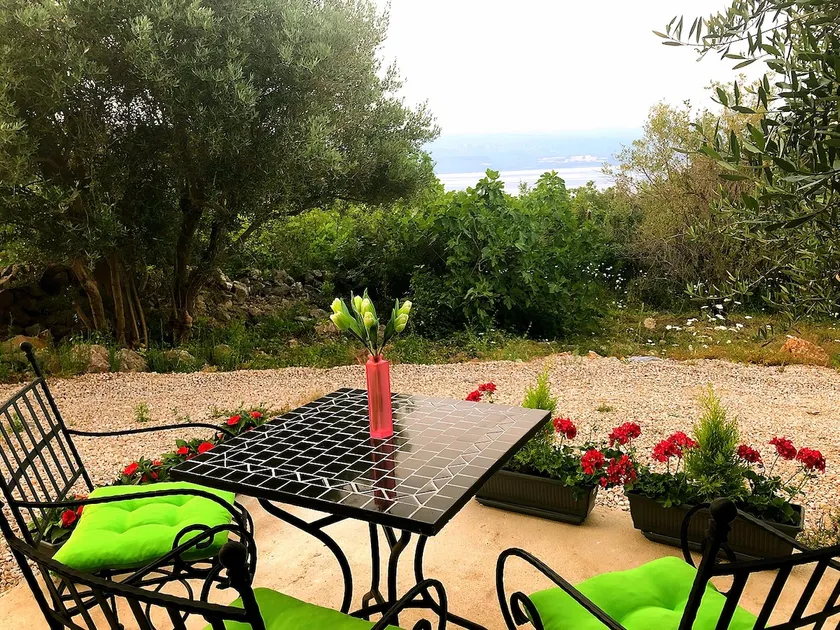 House Cubranic - Olive - Image 1