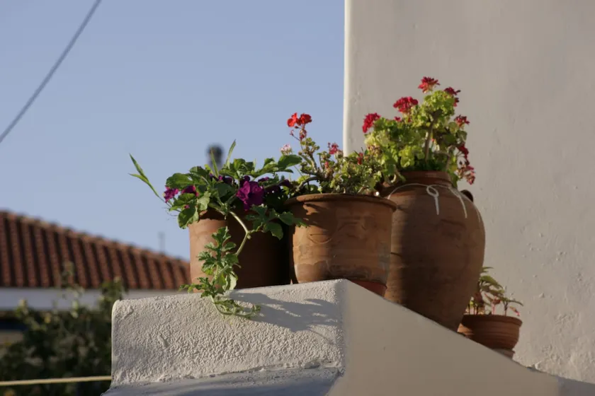 Incavo - Image 1