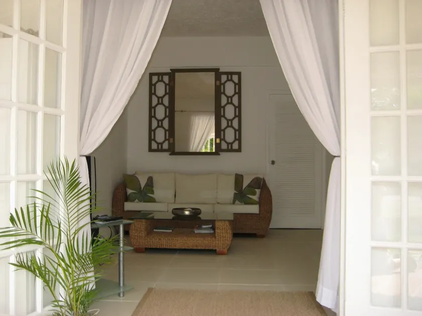 Starfish! - Stylish & Affordable Luxury - Image 1