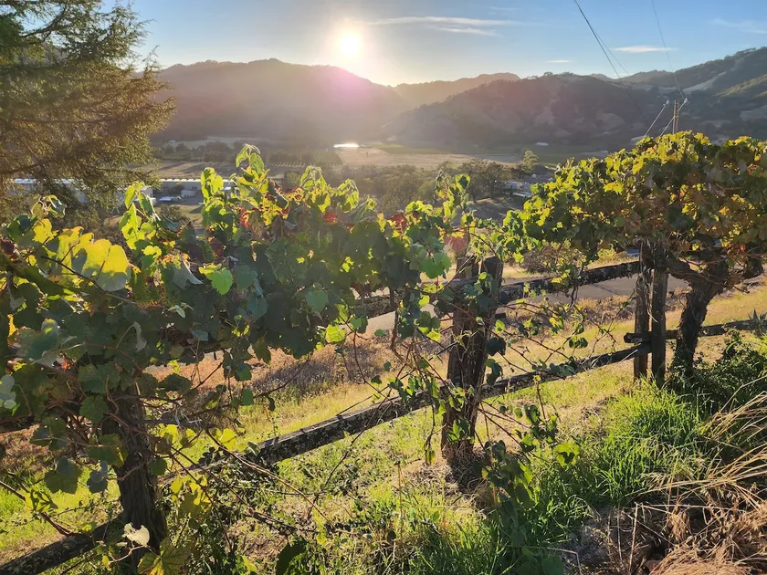 7 Min To Town Vineyards Hot Springs Close Private - Image 1