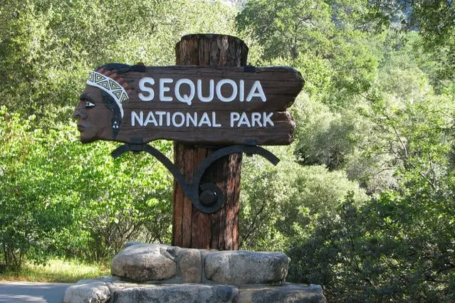 Main House Near Sequoia Park - Image 1