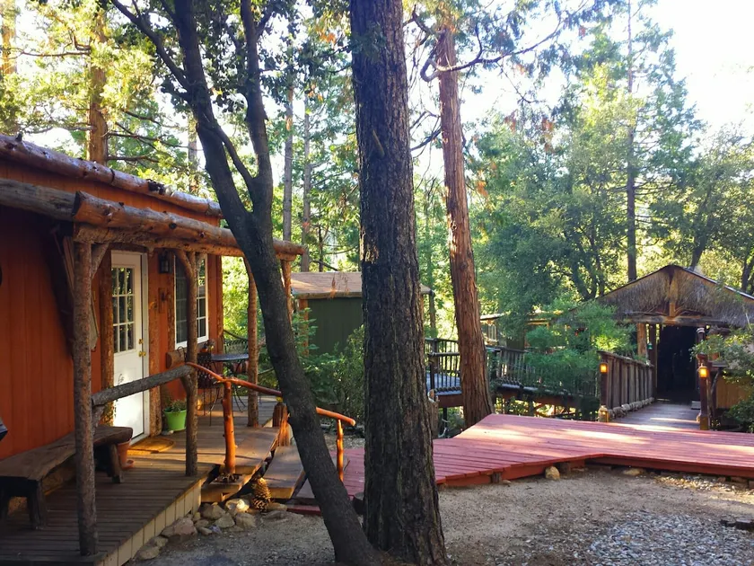 Cozy Lodge & TIKI Treehouse! - Image 1