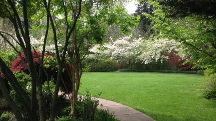 Lake Dr. Cottage with Lovely Garden and Parking - Image 1
