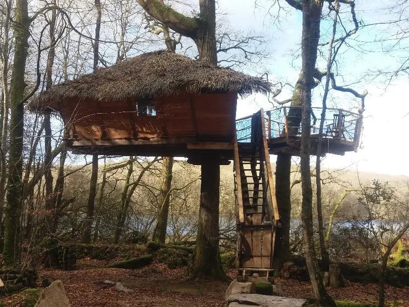 CABANE DU TAPIS D'OR – IN THE TREES - Image 1