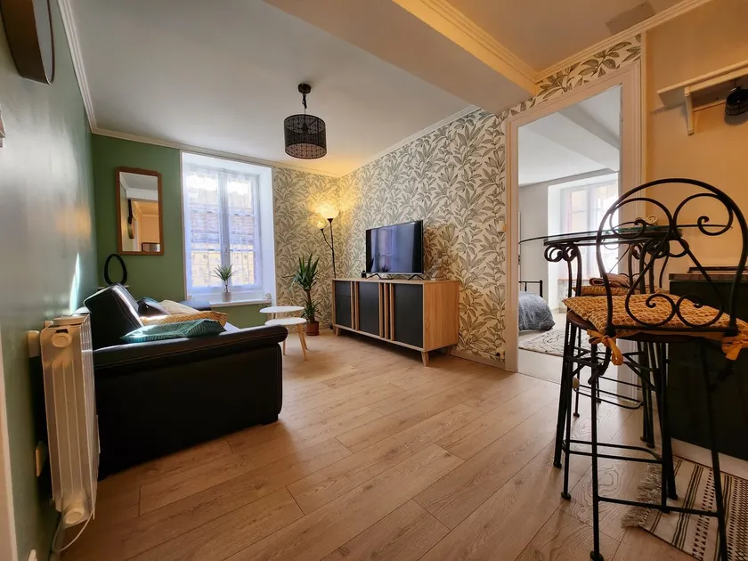 60 square meter furnished apartment in the city center - Image 1