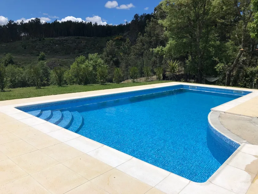 Quinta da Fervença, private river place to relax.. - Image 1