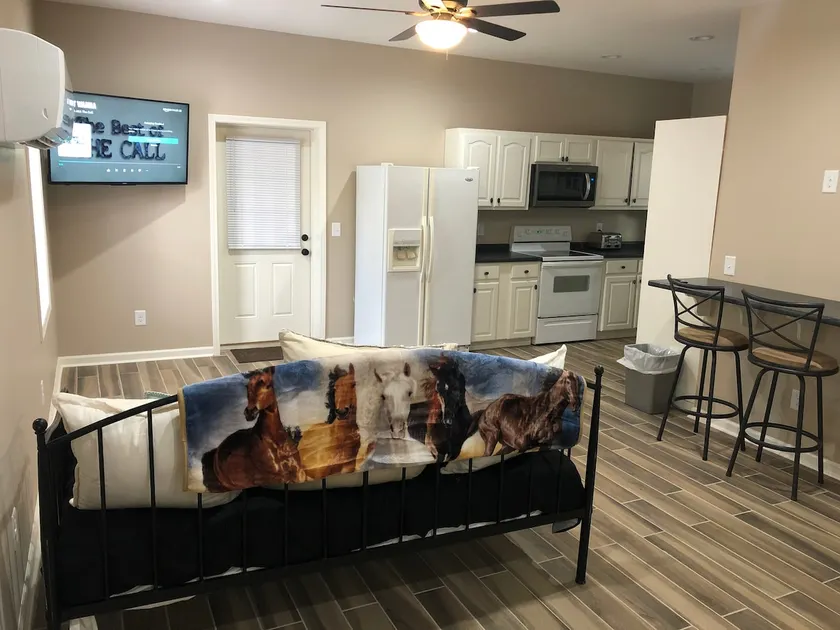 New guesthouse 2 miles from TIEC, Mill Spring, NC - Image 1