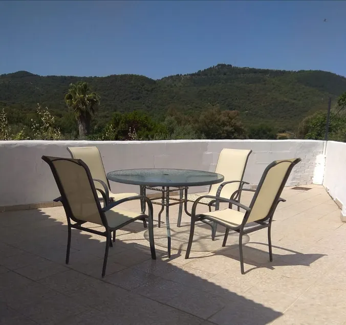 TIO TESORO - Image 1