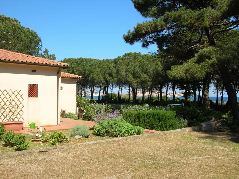 Villa nestled in a pine forest with access to the sea - Image 1