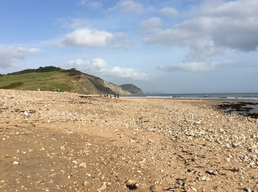 Broadlands in Charmouth 100m to the beach. - Image 1