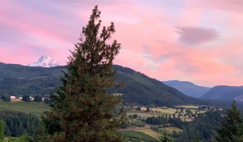 Quiet getaway on 5 Acres with Mt Hood View! - Image 1
